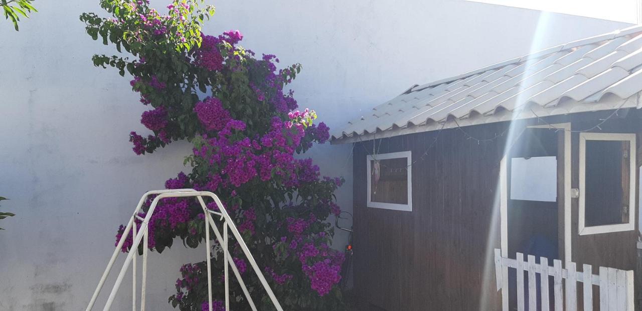 Pousada Cris Garden Bed&Breakfast Φοζ ντο Ιγκουασού Εξωτερικό φωτογραφία